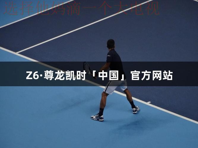 尊龙平台入口体验指南 尊龙平台入口体验指南